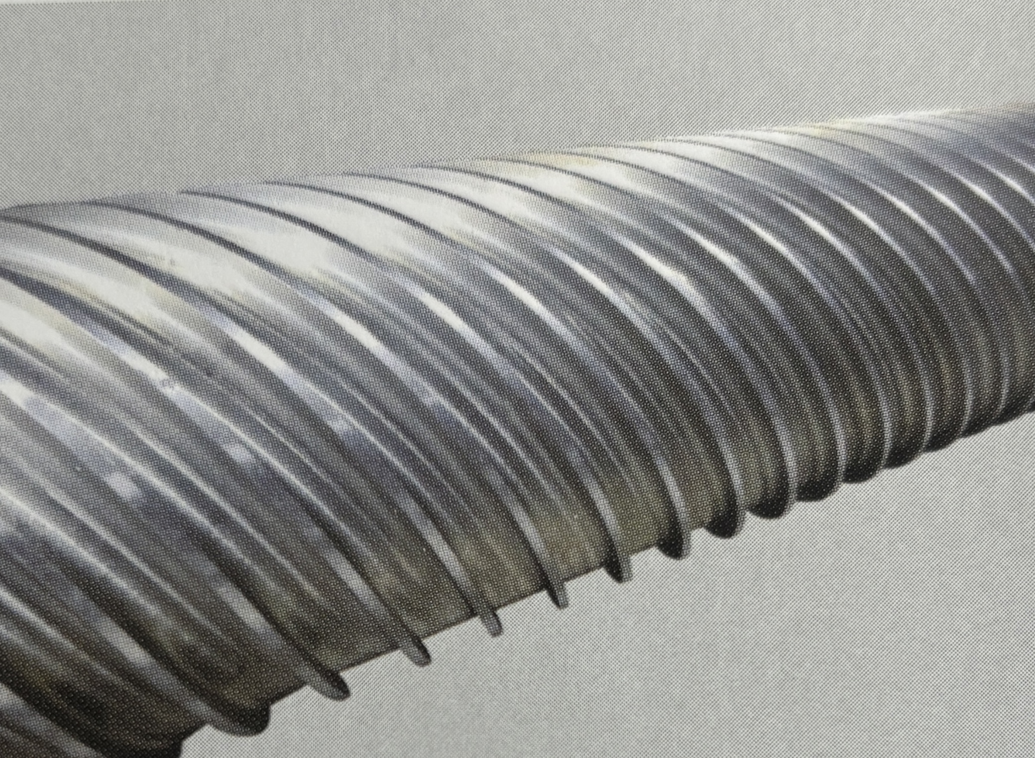 Rodillo eficiente de pared delgada